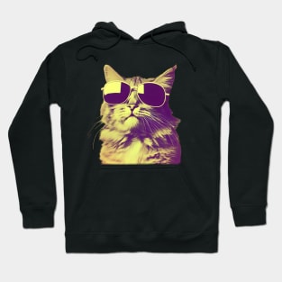 Vintage cat wearing sunglasses Hoodie